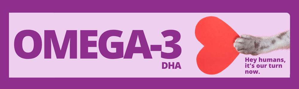 eaa6ecad-dd10-5781-bd81-2bcb5c7ecc30 eaa6ecad-dd10-5781-bd81-2bcb5c7ecc30