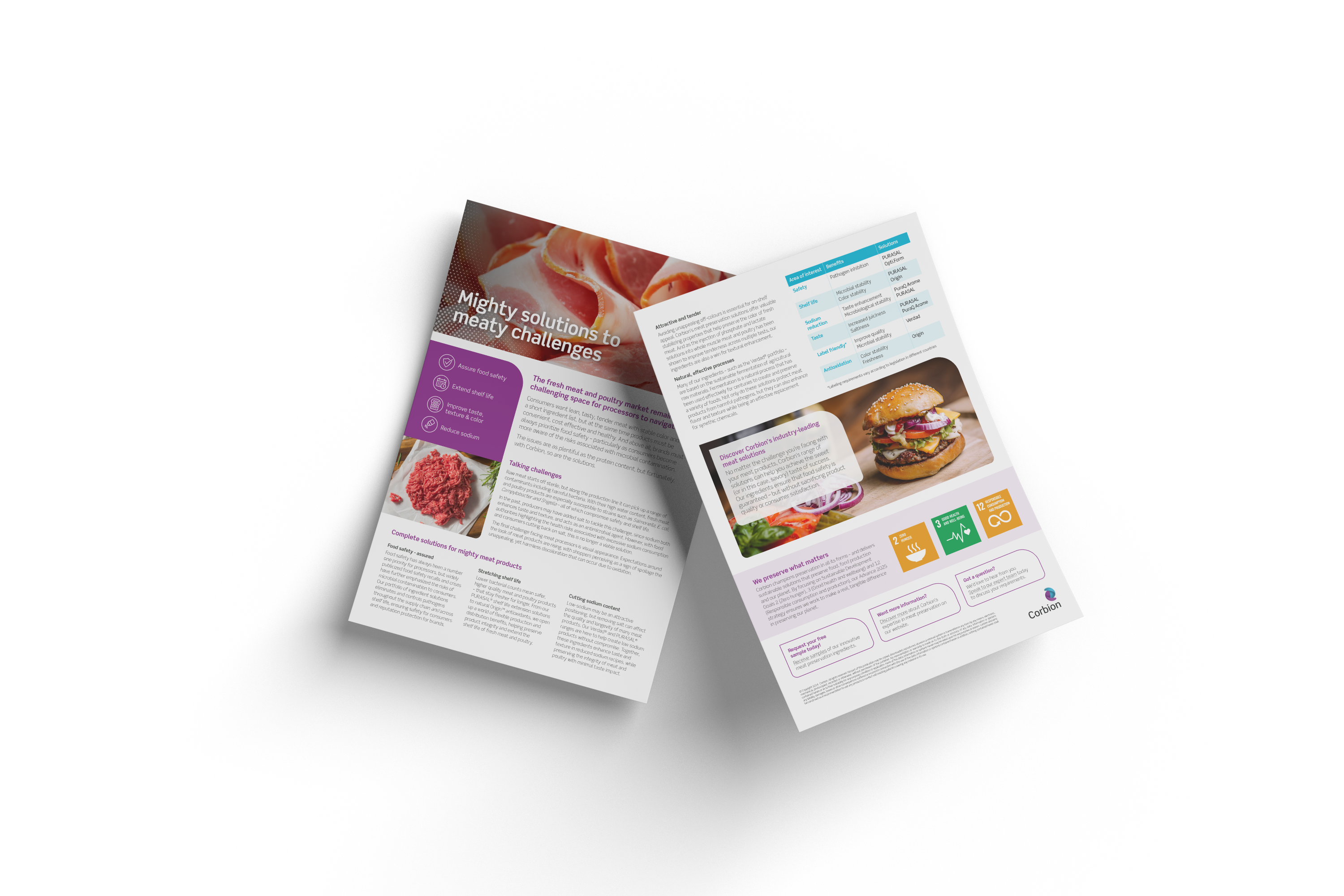 102089-Corbion-Meat landing page_factsheet_mock-up_V1 MD 102089-Corbion-Meat landing page_factsheet_mock-up_V1 MD