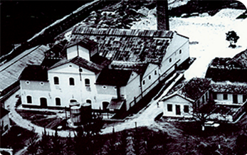 Corbion História e atuação - Ano 1955