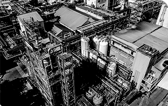 Corbion História e atuação - Ano 1962