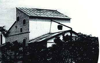 Corbion História e atuação - Ano 1965