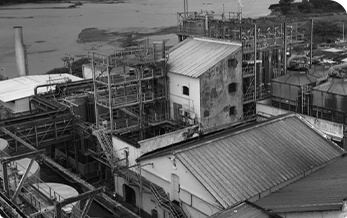 Corbion História e atuação - Ano 1968