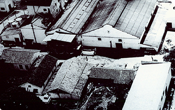 Corbion História e atuação - Ano 1975