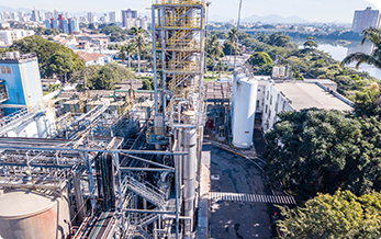 Corbion História e atuação - Ano 1996