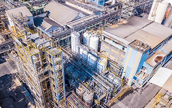 Corbion História e atuação - Ano 2003