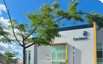 Corbion História e atuação - Ano 2024