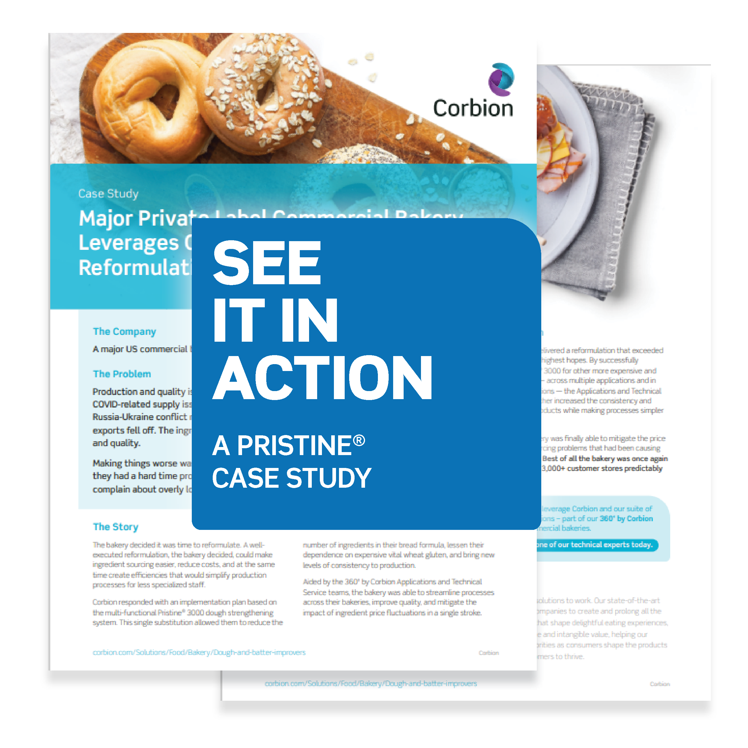 DI_Portfolio-CS_300x300_LP