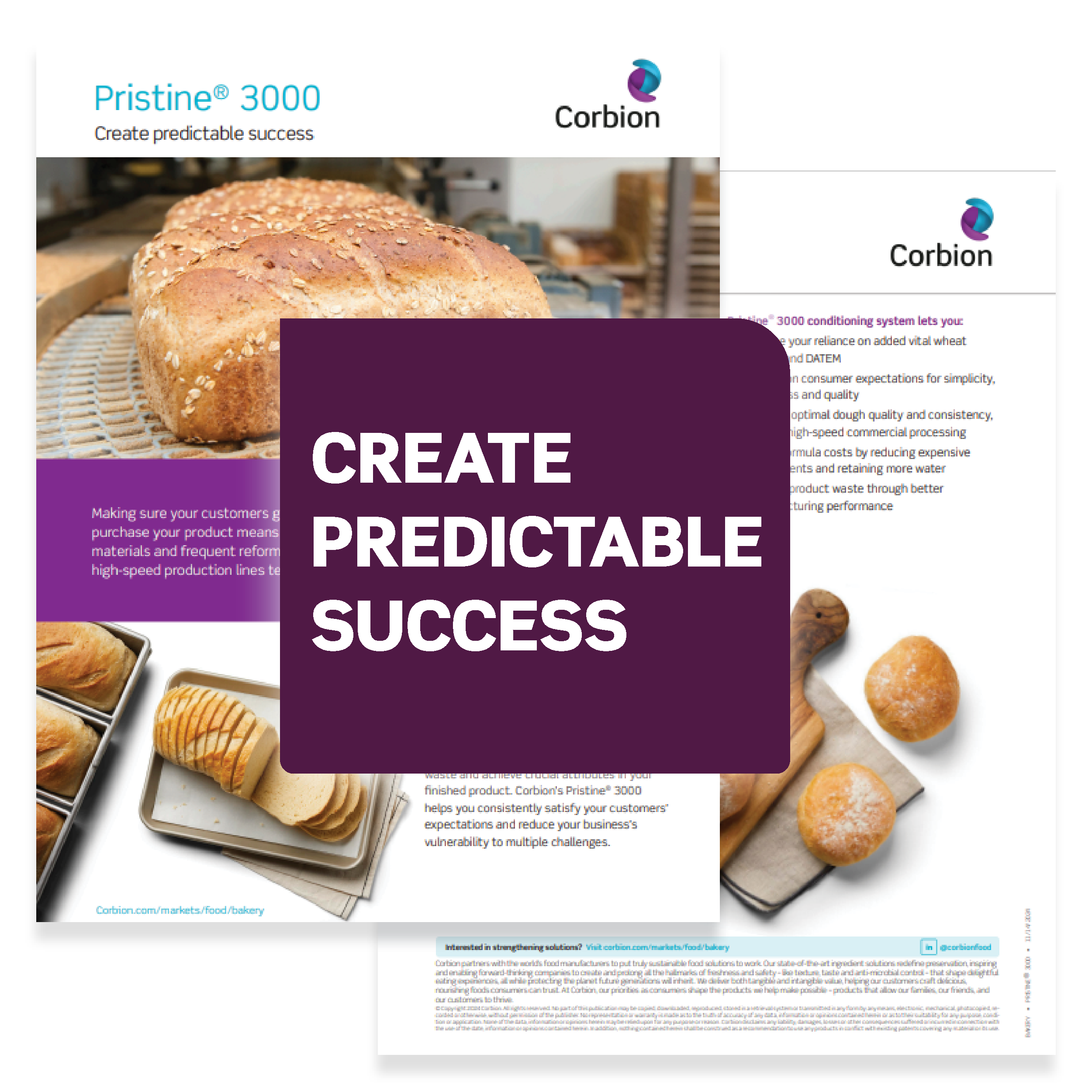 DI_Portfolio-SS_300x300_LP