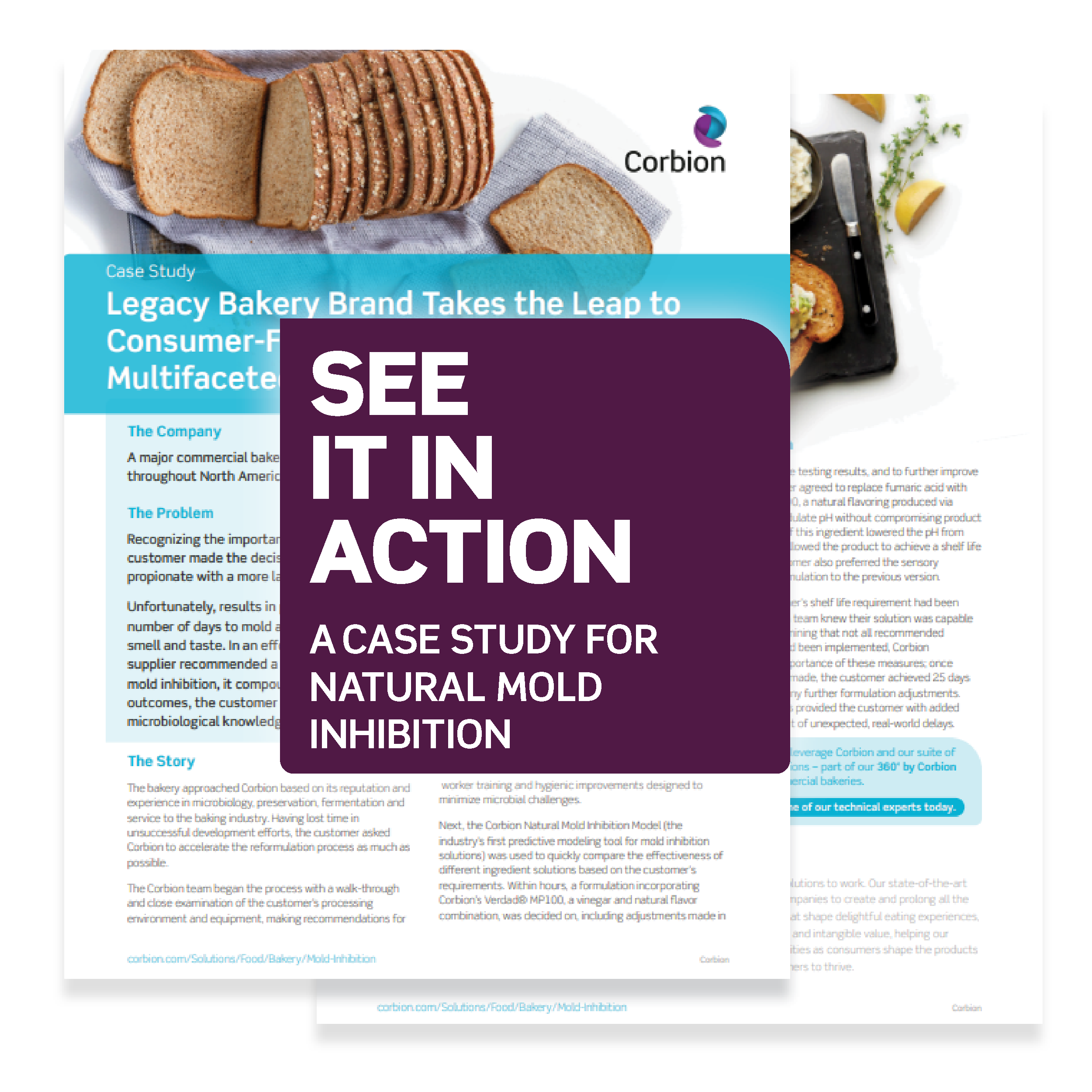 NMI_Portfolio-CS_300x300_LP