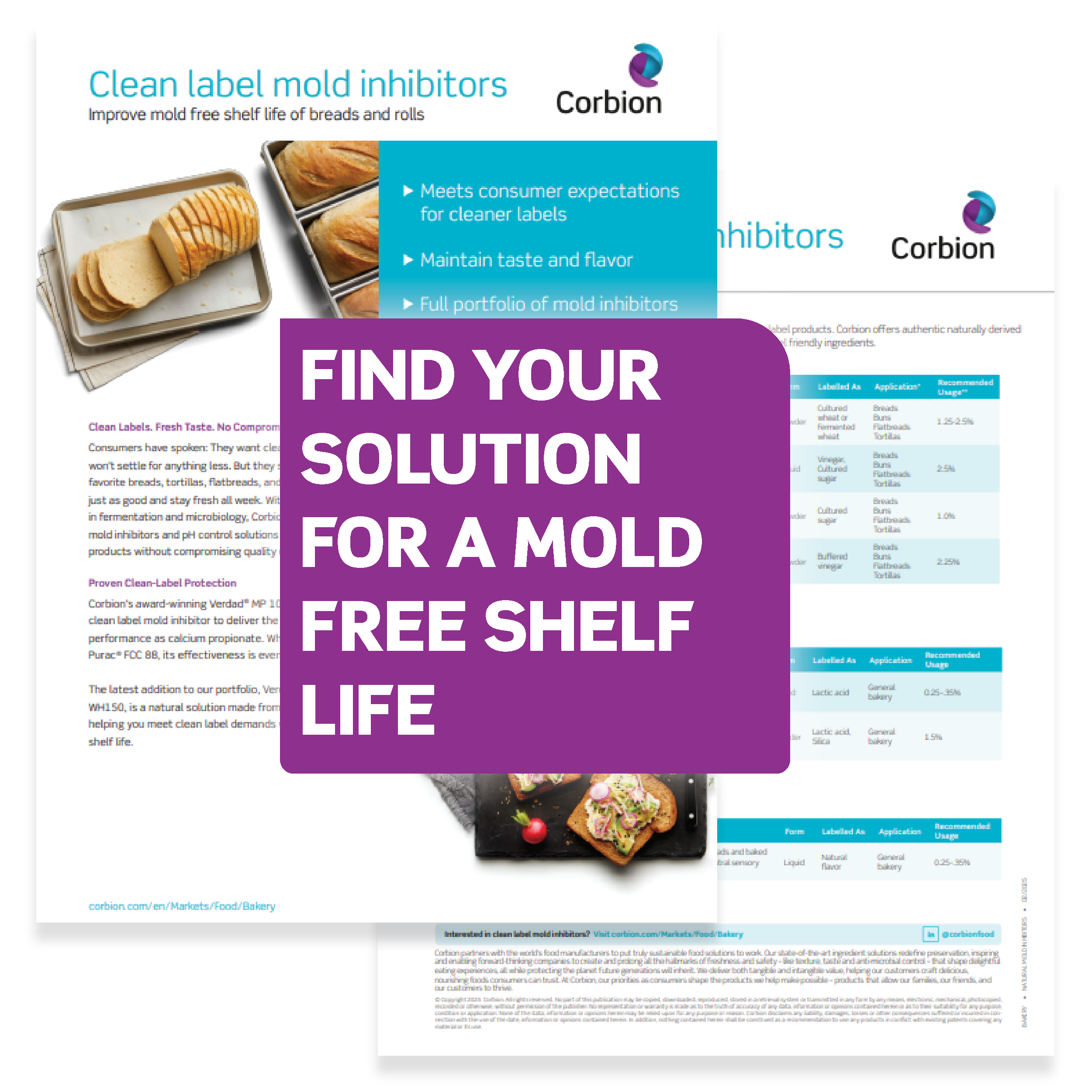 NMI_Portfolio-SS_300x300_LP